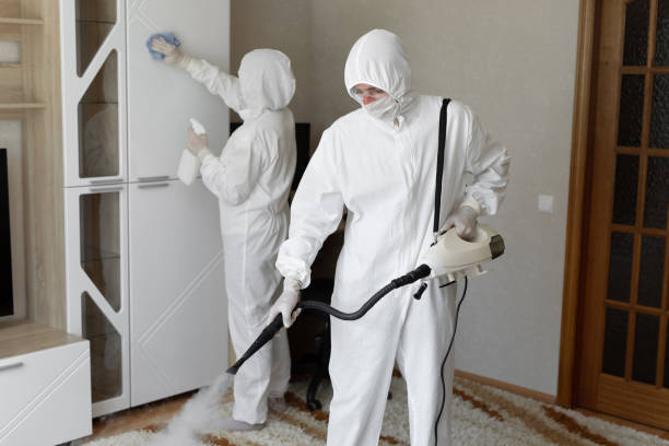 Trusted Sewage Cleanup service in Audubon, NJ - Four Month Blood Cleanse